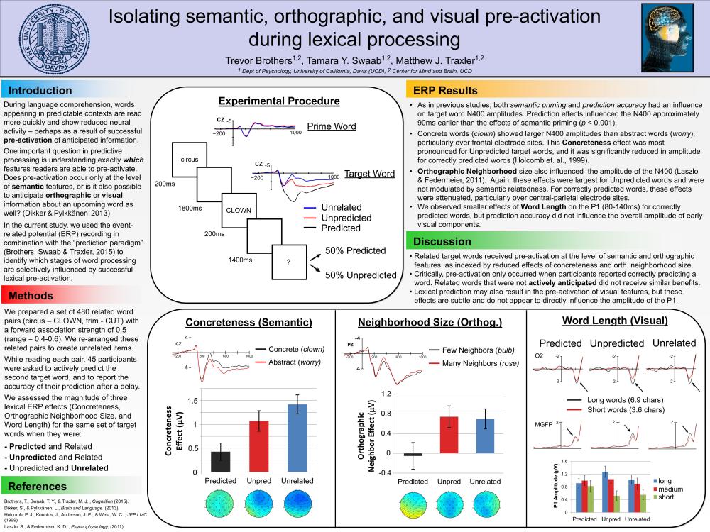 PredictionPriming